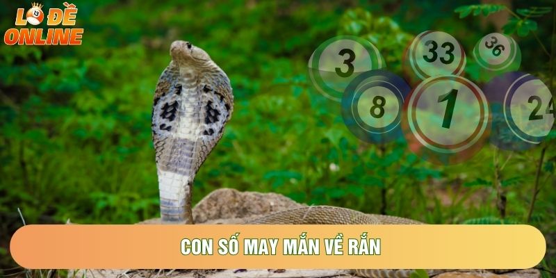 Con số may mắn về rắn